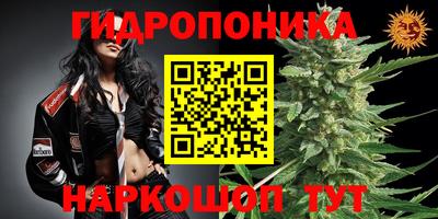 сатива Севастополь