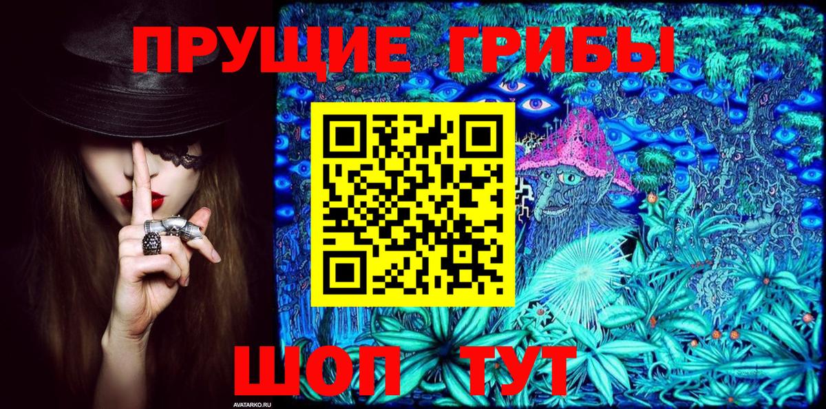 Псилоцибиновые грибы GOLDEN TEACHER Псков